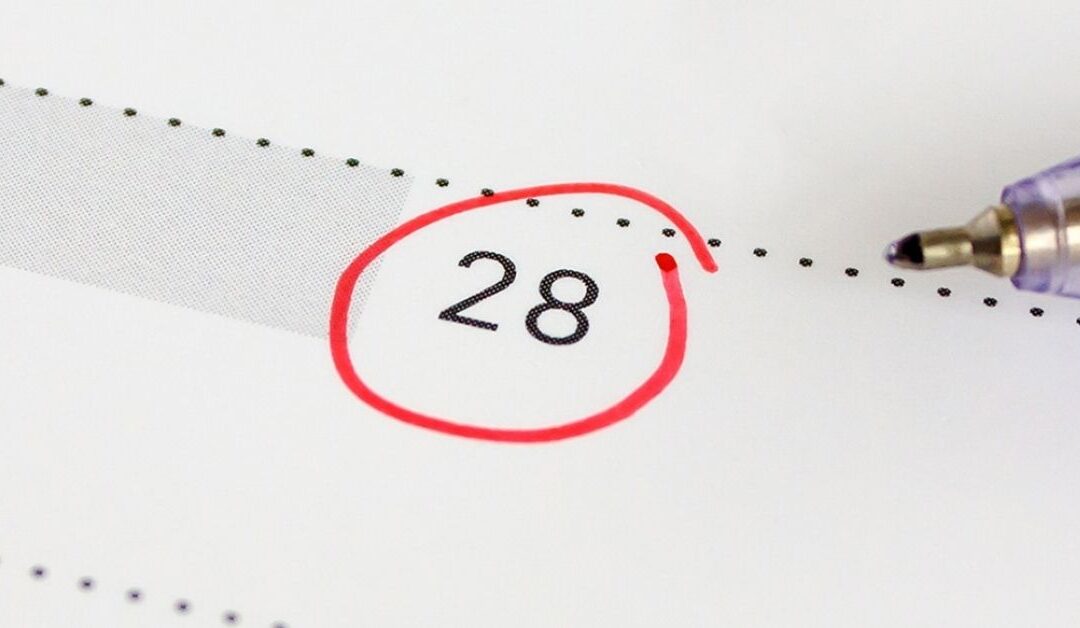 TVA Suisse : échéance du 28 février 2026 à ne pas manquer